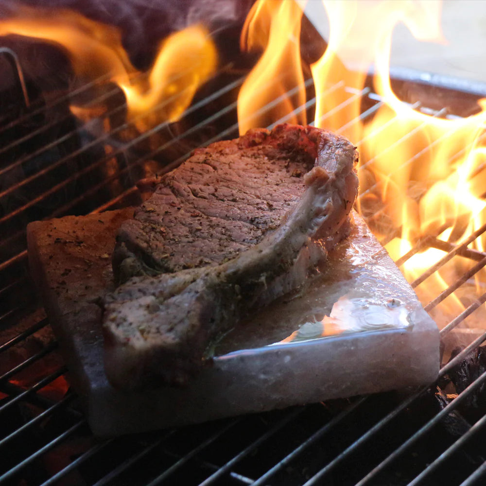 Himalayan Salt Brick NEANDERTHAL FIRE COMPANY